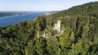 Ruine du Neubourg Ruine du Neubourg