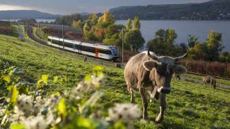Découvrir la ligne du lac avec Thurbo Découvrir la ligne du lac avec Thurbo