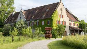 Musée du lac Musée du lac
