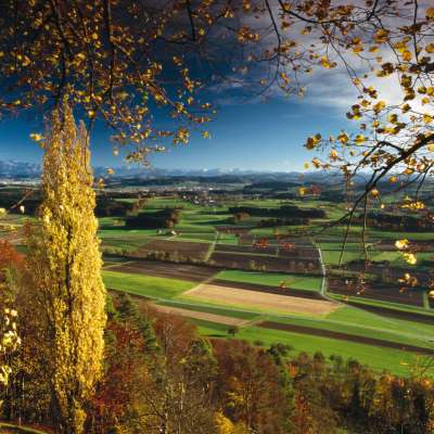 Vue du Sonnenberg Stettfurt Lommis